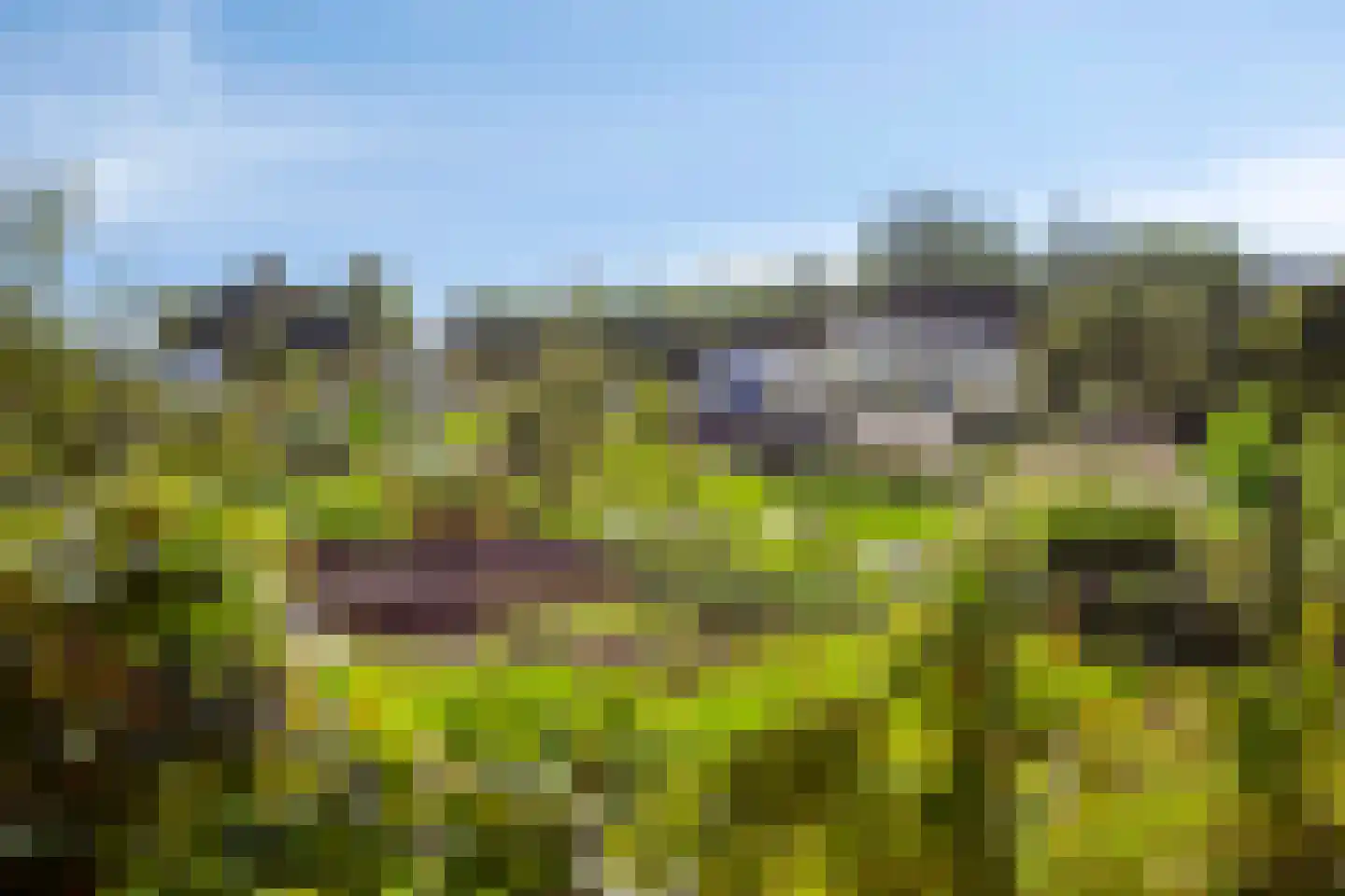 Pinksterbloempad 5 Akersloot thumbnail 37