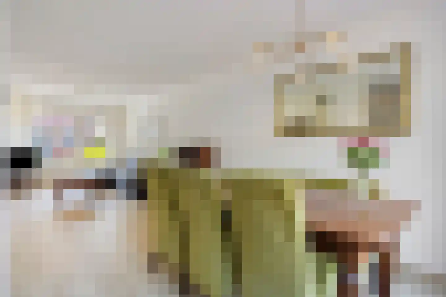 Pinksterbloempad 5 Akersloot thumbnail 9