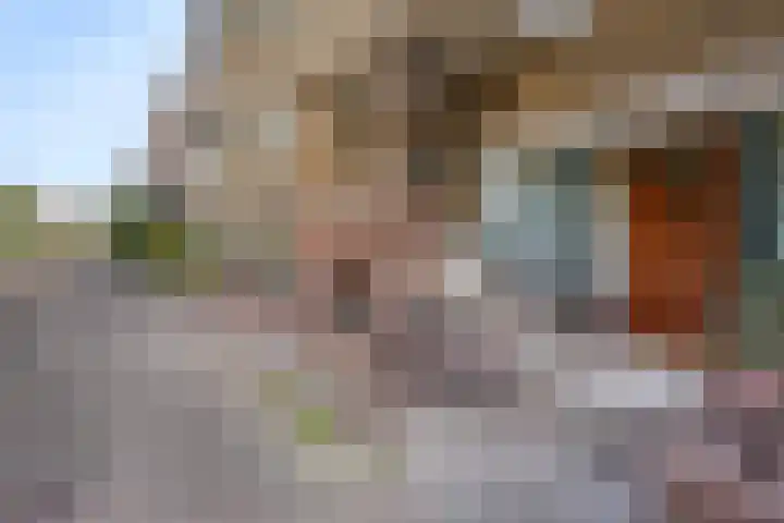 Pinksterbloemplein 18 Den Haag thumbnail 5