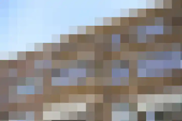 Pinksterbloemplein 18 Den Haag thumbnail 71
