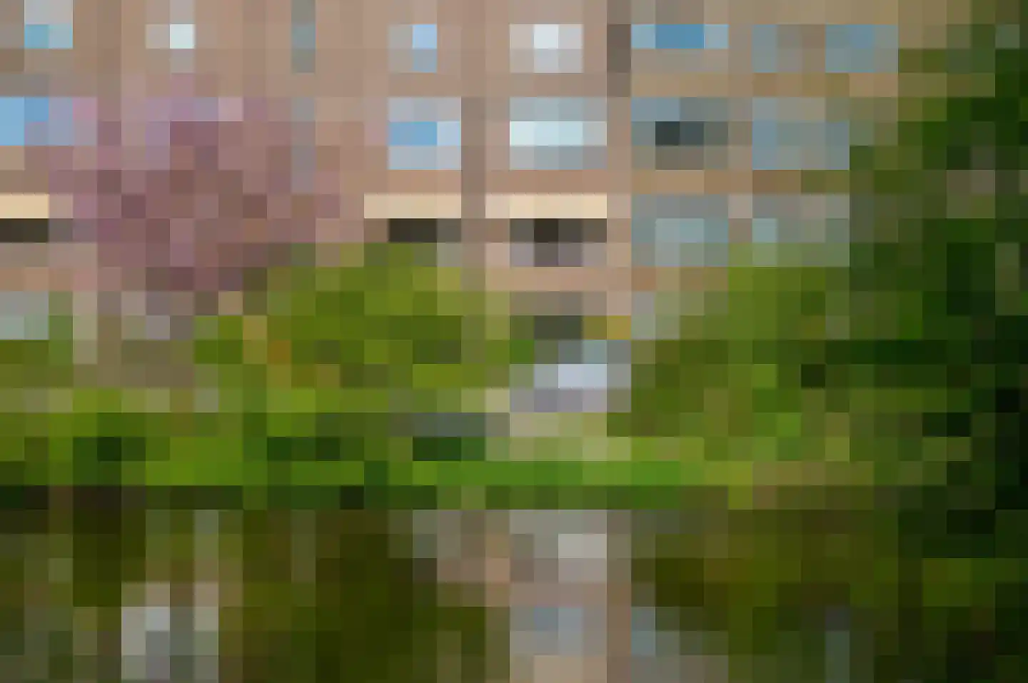 Pinksterbloemplein 22 Den Haag thumbnail 35