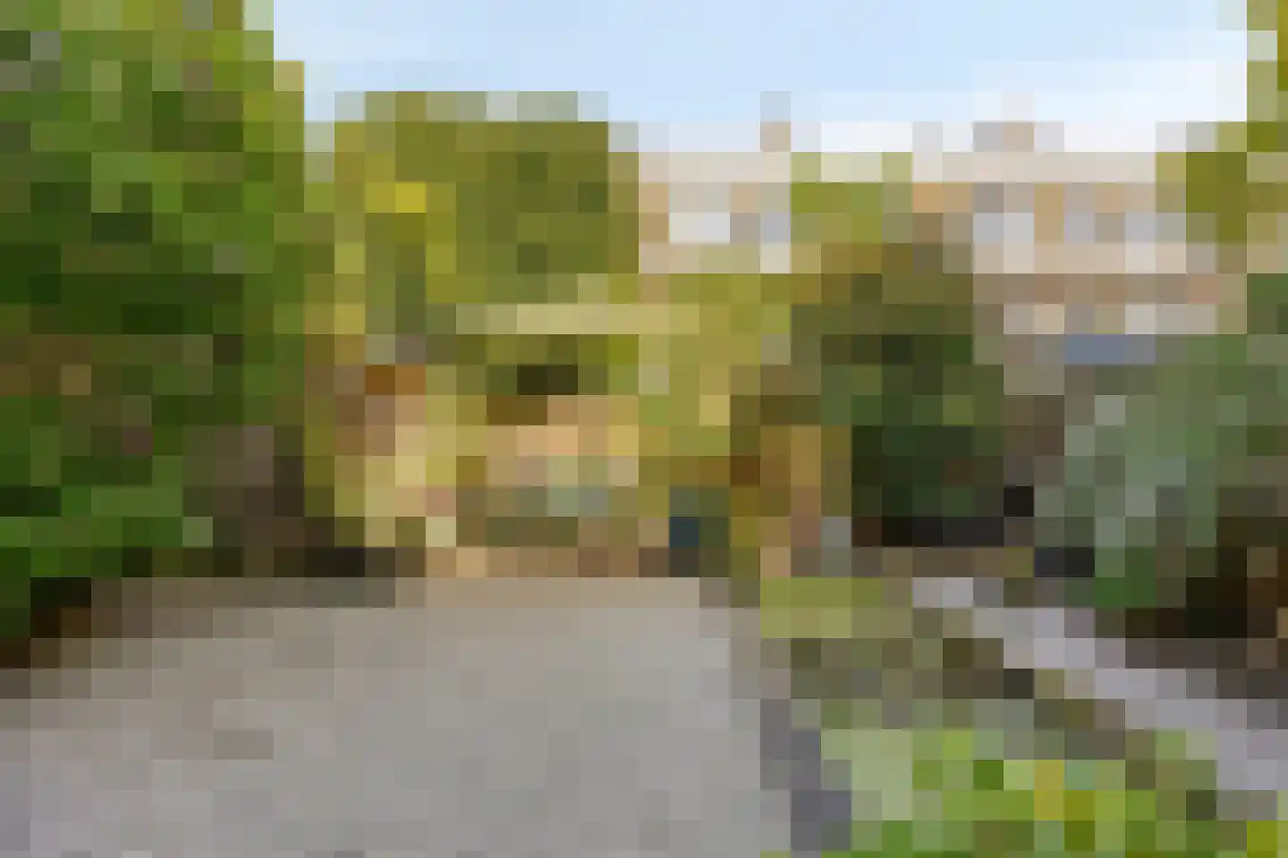 Pinksterbloemplein 35 Den Haag thumbnail 27
