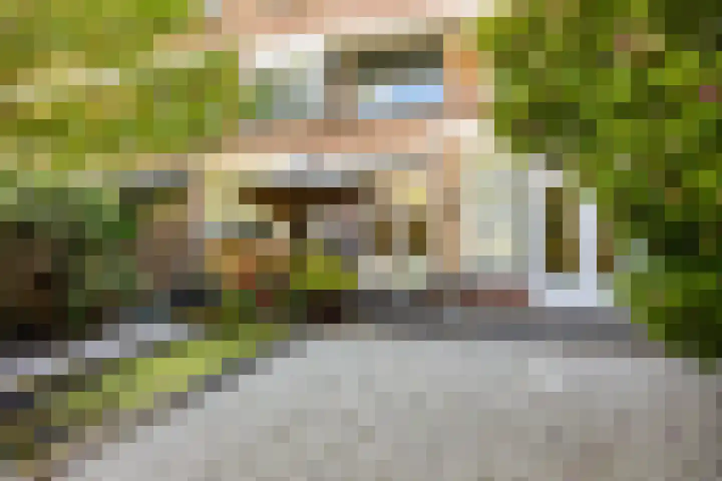 Pinksterbloemplein 35 Den Haag thumbnail 31