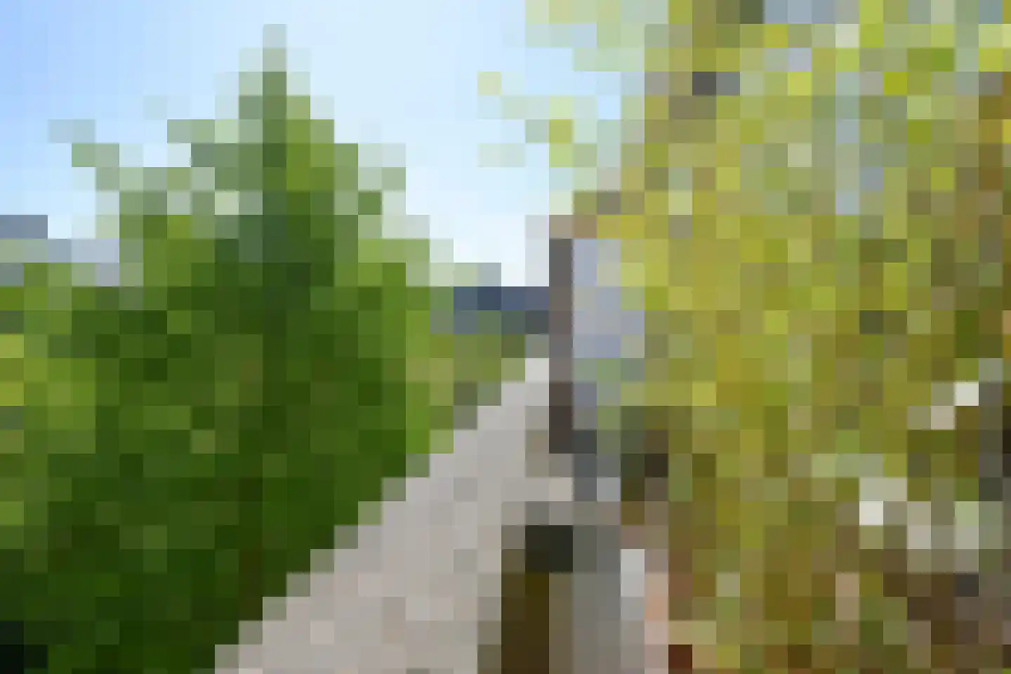 Pinksterbloemplein 37 Den Haag thumbnail 22