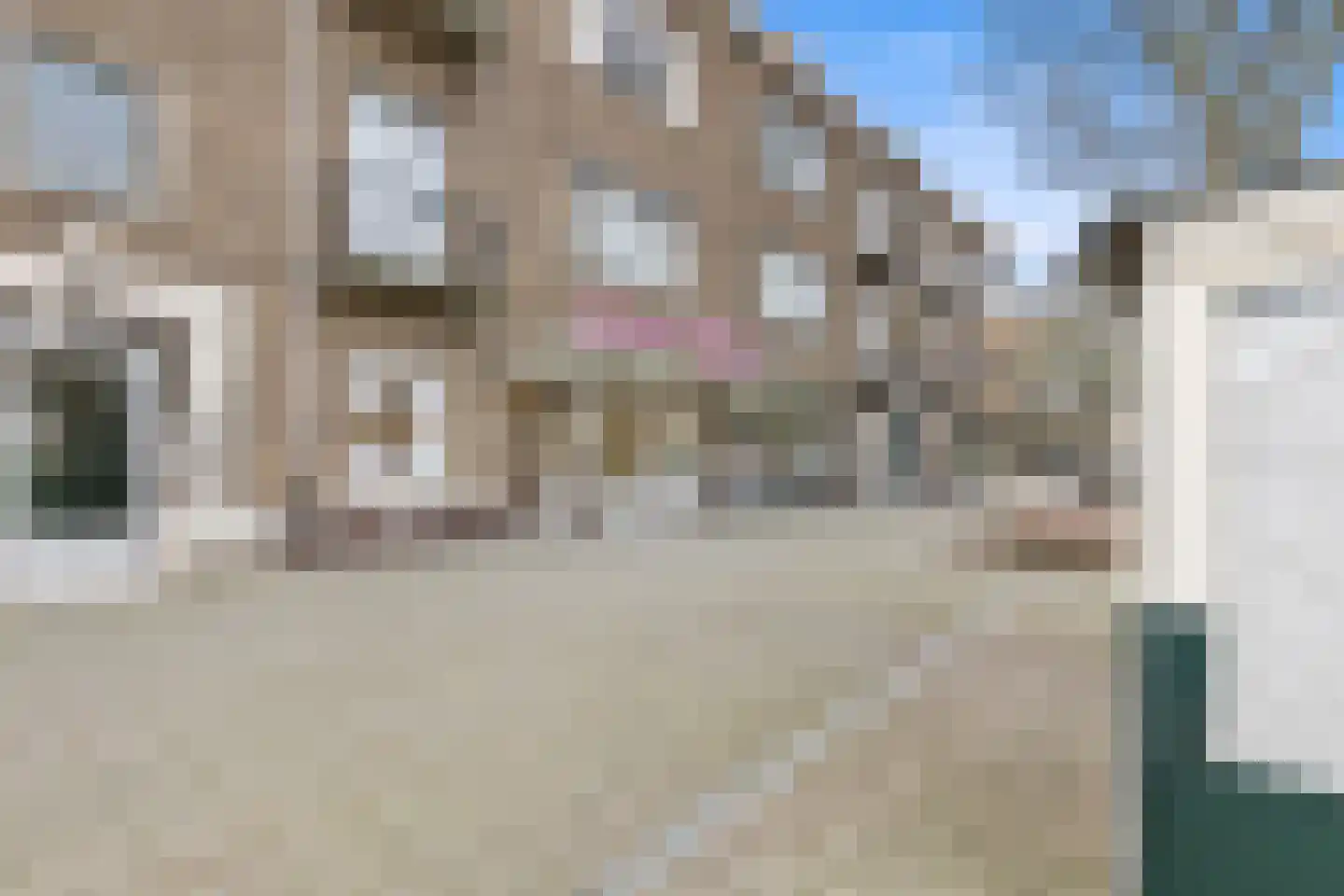 Pinksterbloemplein 46 Den Haag thumbnail 48
