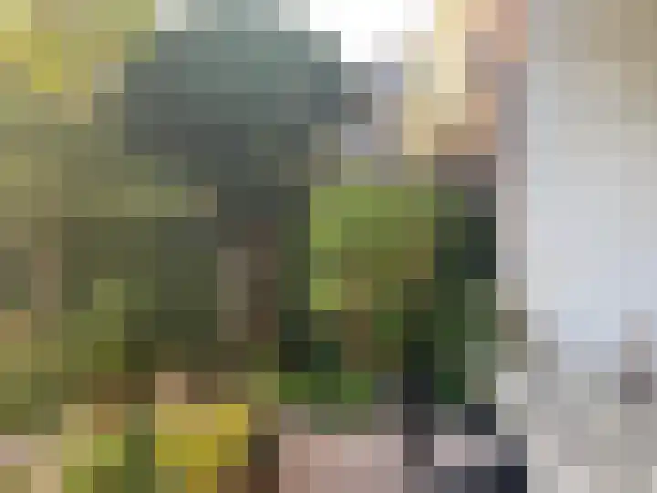 Pinksterbloemplein 53 Den Haag thumbnail 29