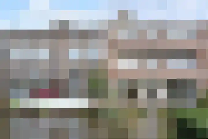 Pinksterbloemplein 53 Den Haag thumbnail 56