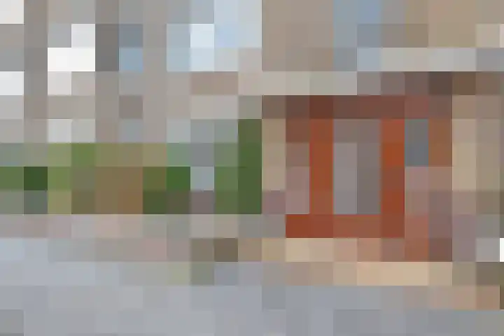 Pinksterbloemplein 53 Den Haag thumbnail 6