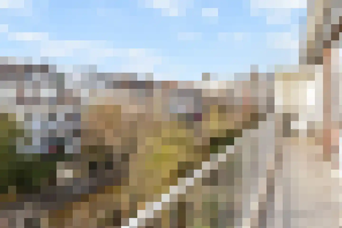 Pinksterbloemplein 63 Den Haag thumbnail 17