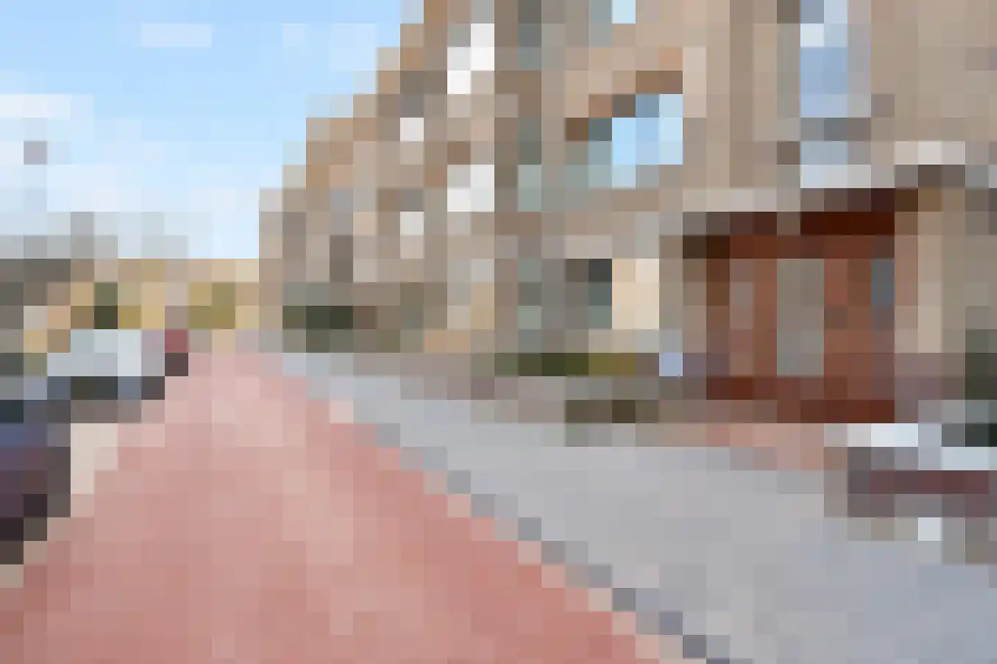 Pinksterbloemplein 63 Den Haag thumbnail 38
