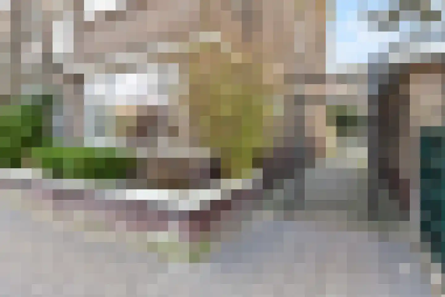 Pinksterbloemplein 63 Den Haag thumbnail 39