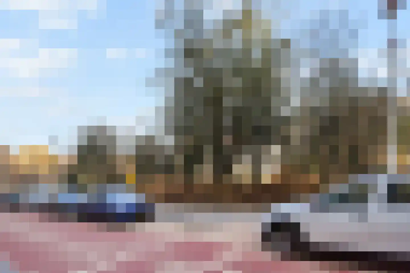 Pinksterbloemplein 63 Den Haag thumbnail 42