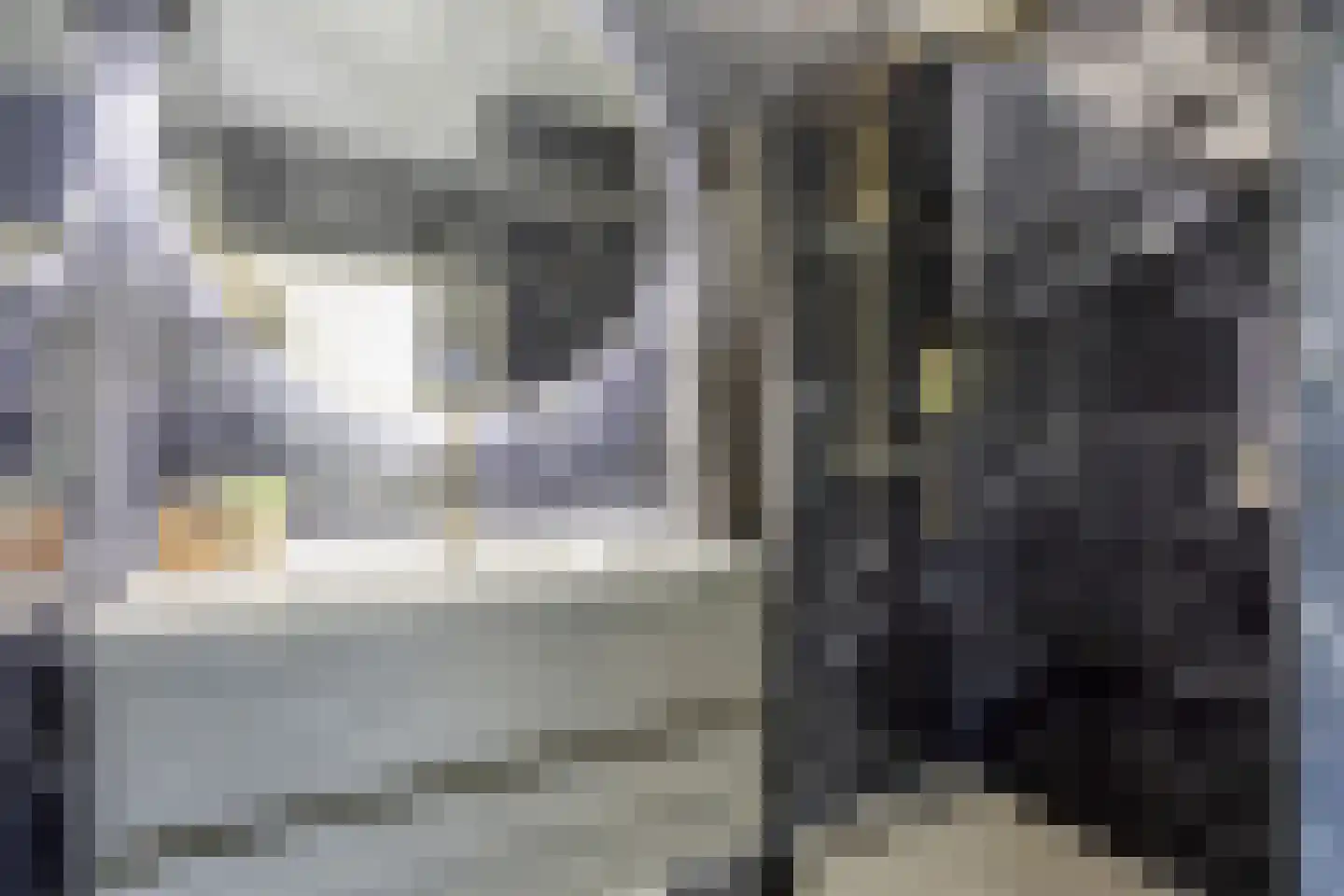 Pinksterbloemstraat 10 Beuningen Gld thumbnail 37