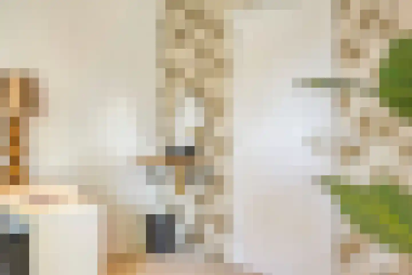 Pinksterbloemstraat 10 Beuningen Gld thumbnail 42