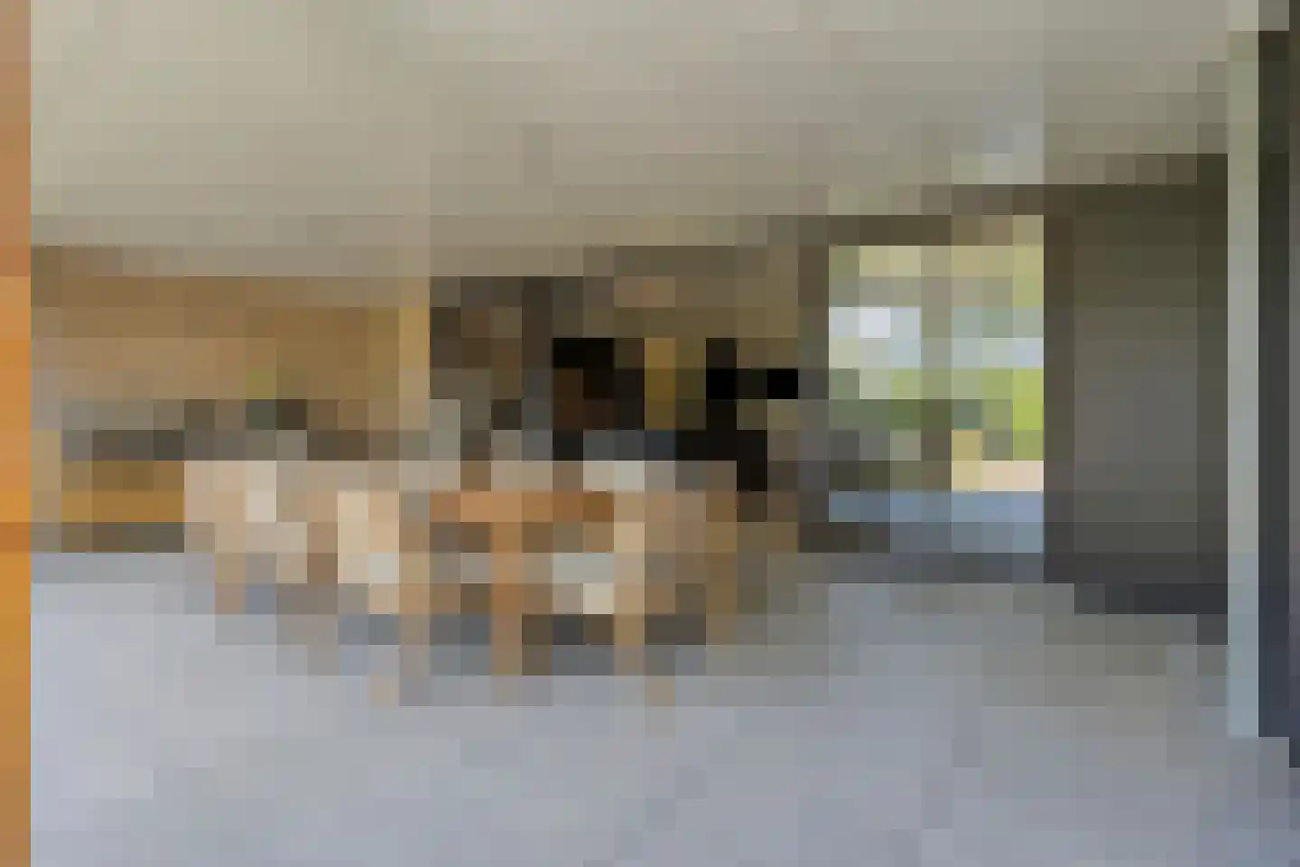 Pinksterbloemstraat 10 Beuningen Gld thumbnail 51