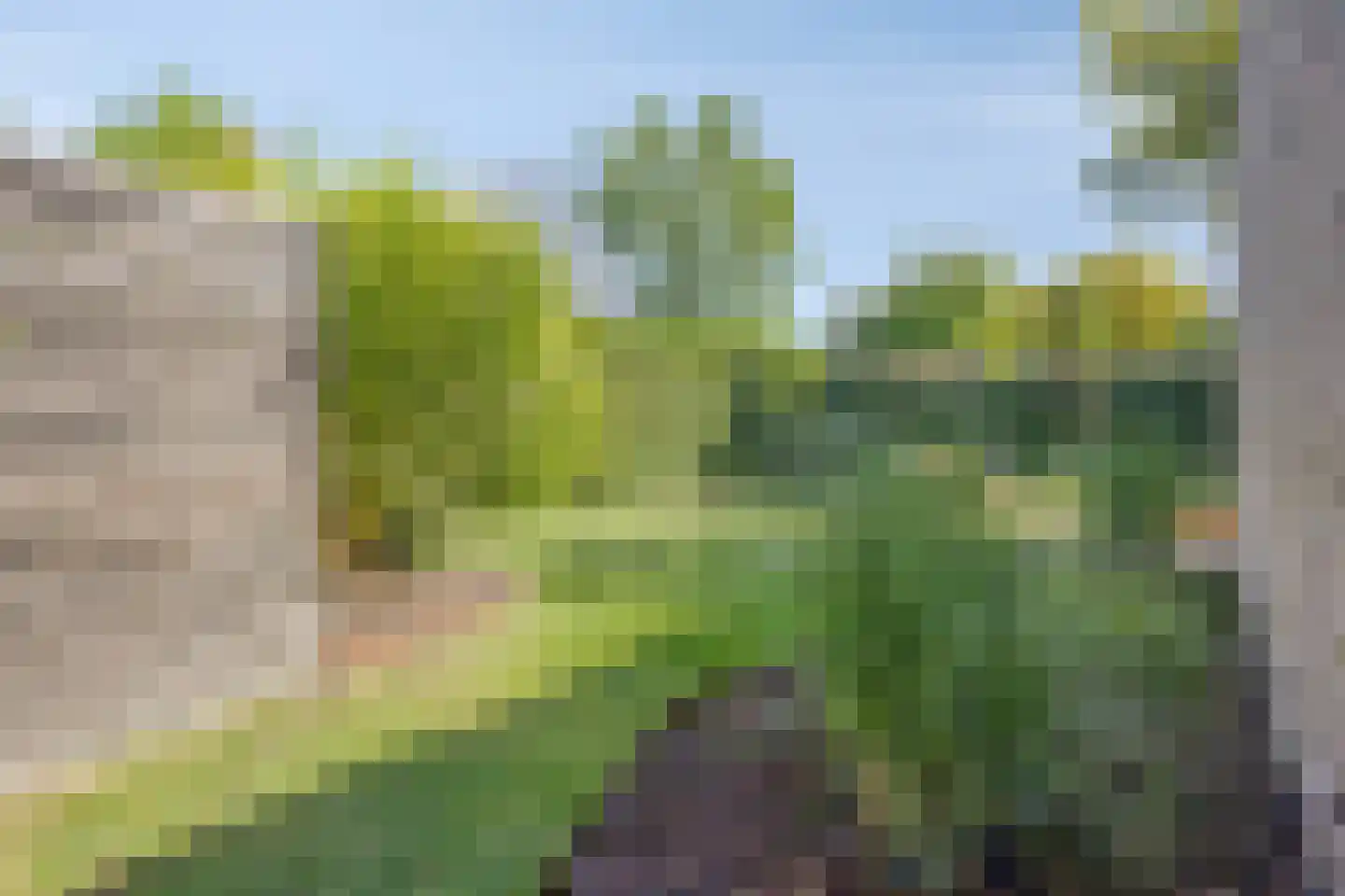 Pinksterbloemstraat 10 Beuningen Gld thumbnail 64