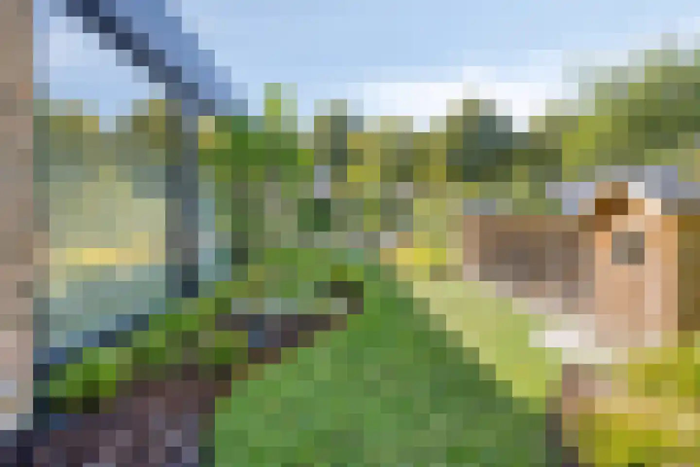 Pinksterbloemstraat 10 Beuningen Gld thumbnail 68