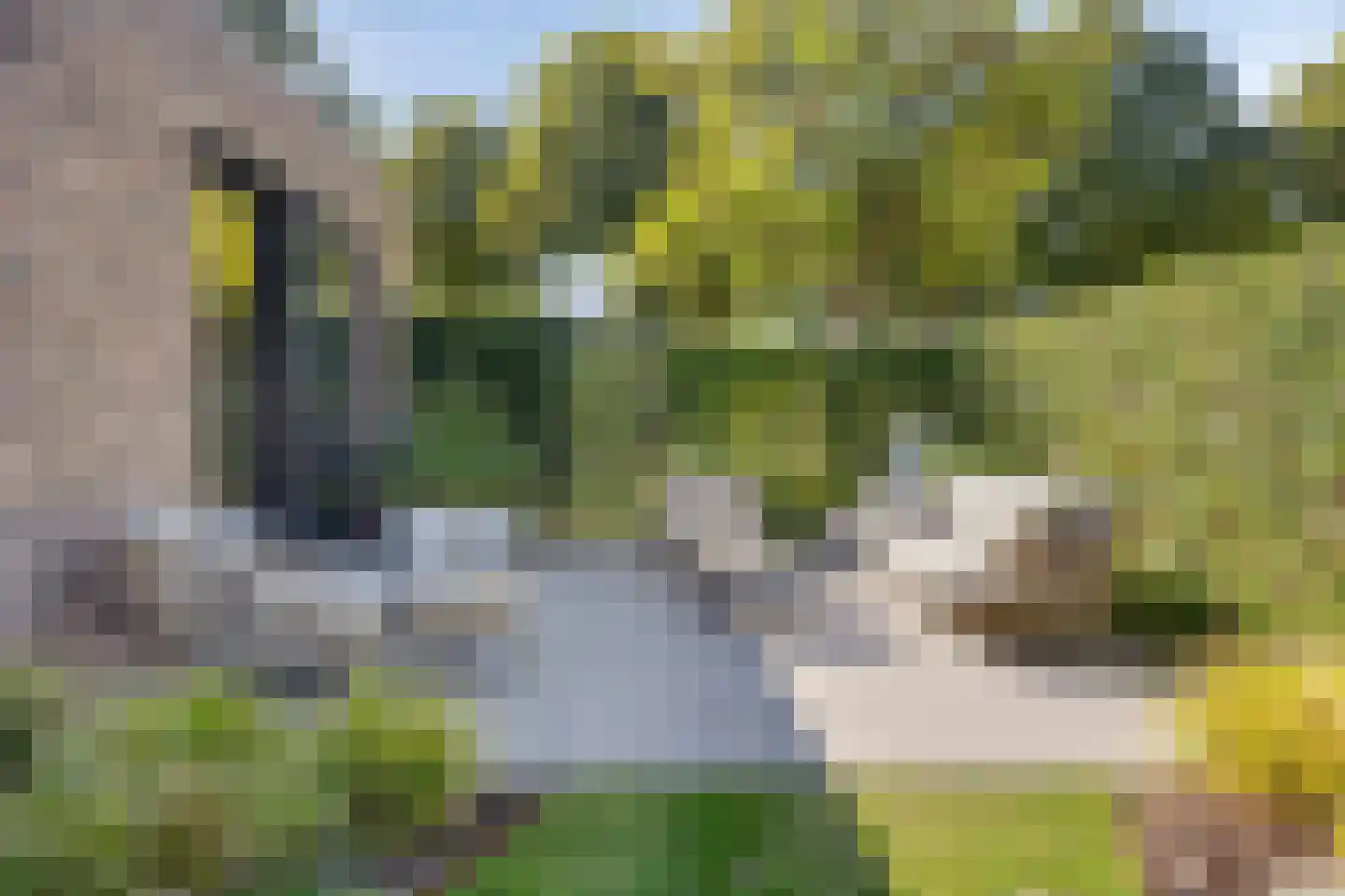 Pinksterbloemstraat 10 Beuningen Gld thumbnail 71