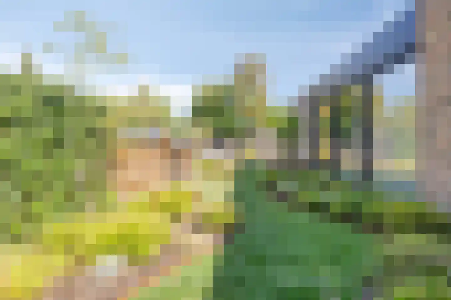 Pinksterbloemstraat 10 Beuningen Gld thumbnail 73