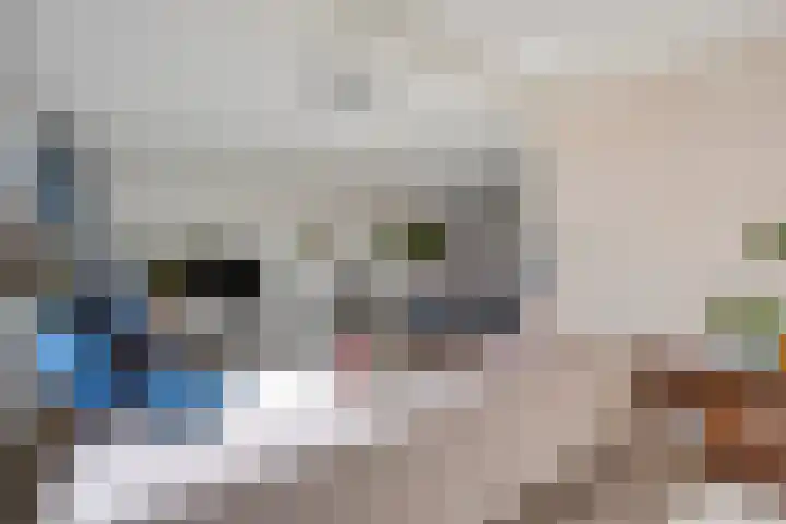 Pinksterbloemstraat 11 Beuningen Gld thumbnail 6