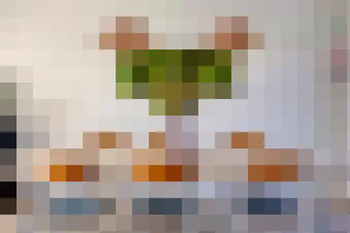 Pinksterbloemstraat 11 Beuningen Gld thumbnail 7