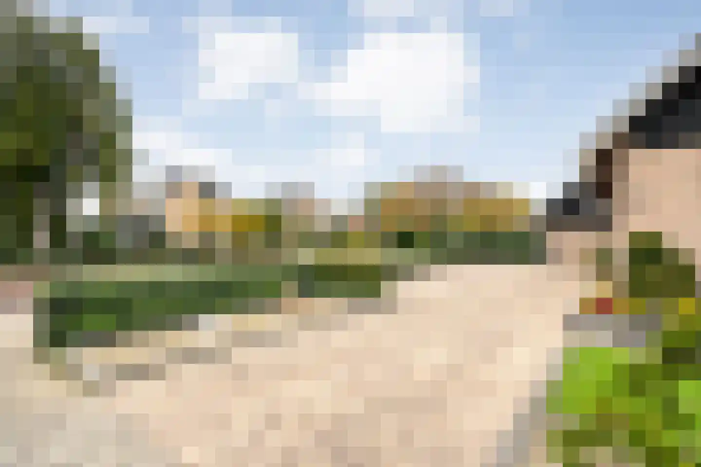 Pinksterbloemstraat 13 Ommen thumbnail 11