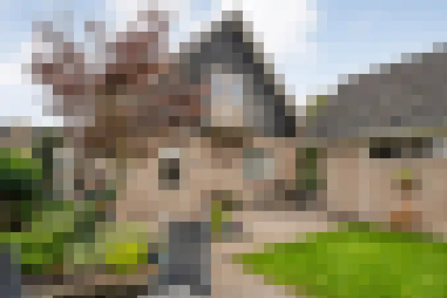 Pinksterbloemstraat 13 Ommen thumbnail 43