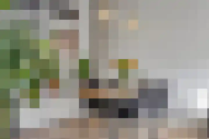Pinksterbloemstraat 17 Geertruidenberg thumbnail 11