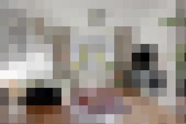 Pinksterbloemstraat 17 Geertruidenberg thumbnail 13