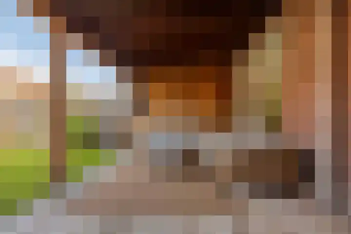 Pinksterbloemstraat 17 Geertruidenberg thumbnail 19