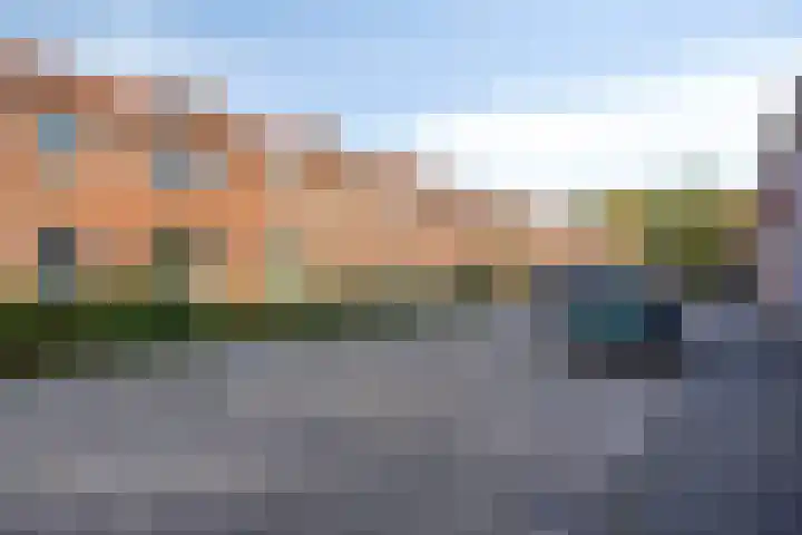 Pinksterbloemstraat 17 Geertruidenberg thumbnail 27