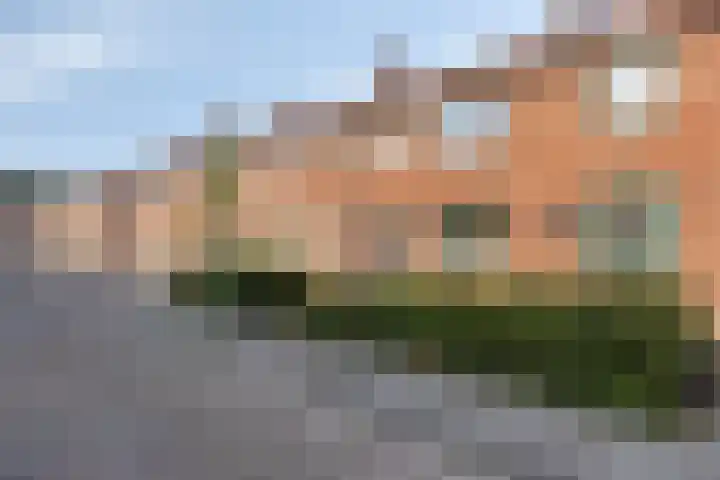 Pinksterbloemstraat 17 Geertruidenberg thumbnail 28