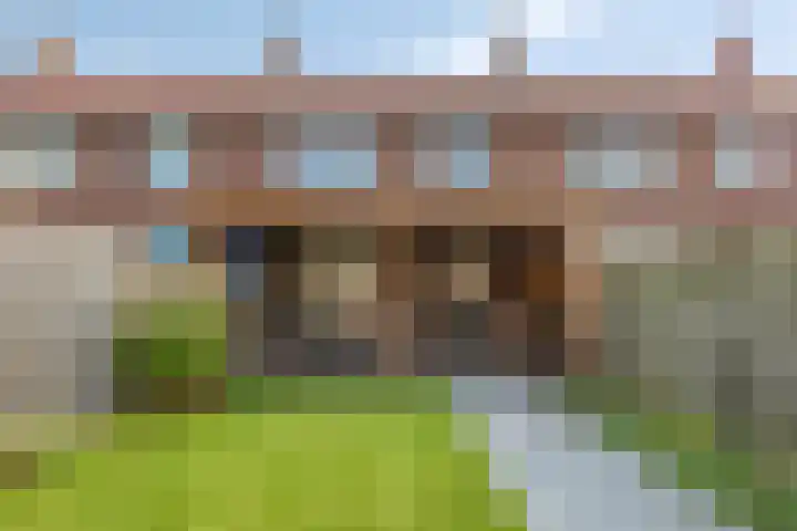 Pinksterbloemstraat 17 Geertruidenberg thumbnail 5