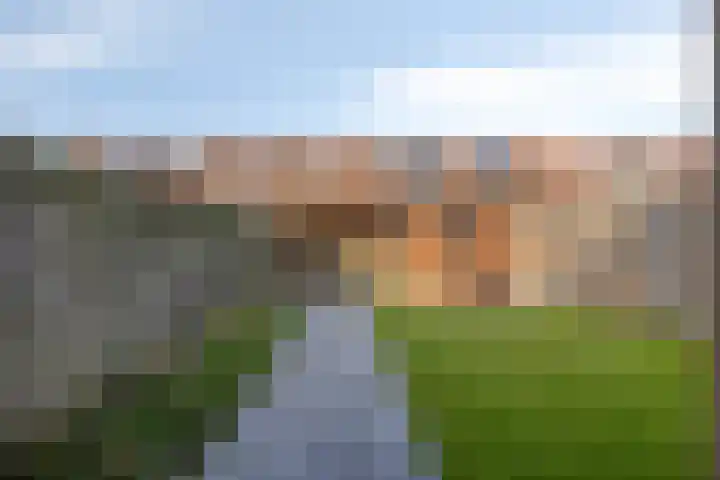 Pinksterbloemstraat 17 Geertruidenberg thumbnail 6