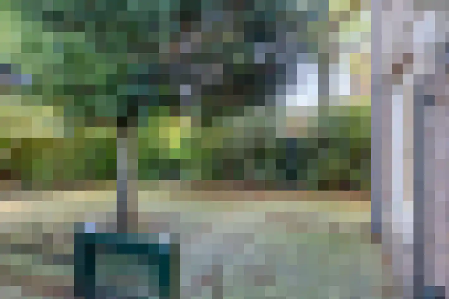 Pinksterbloemstraat 18 Rheden thumbnail 22