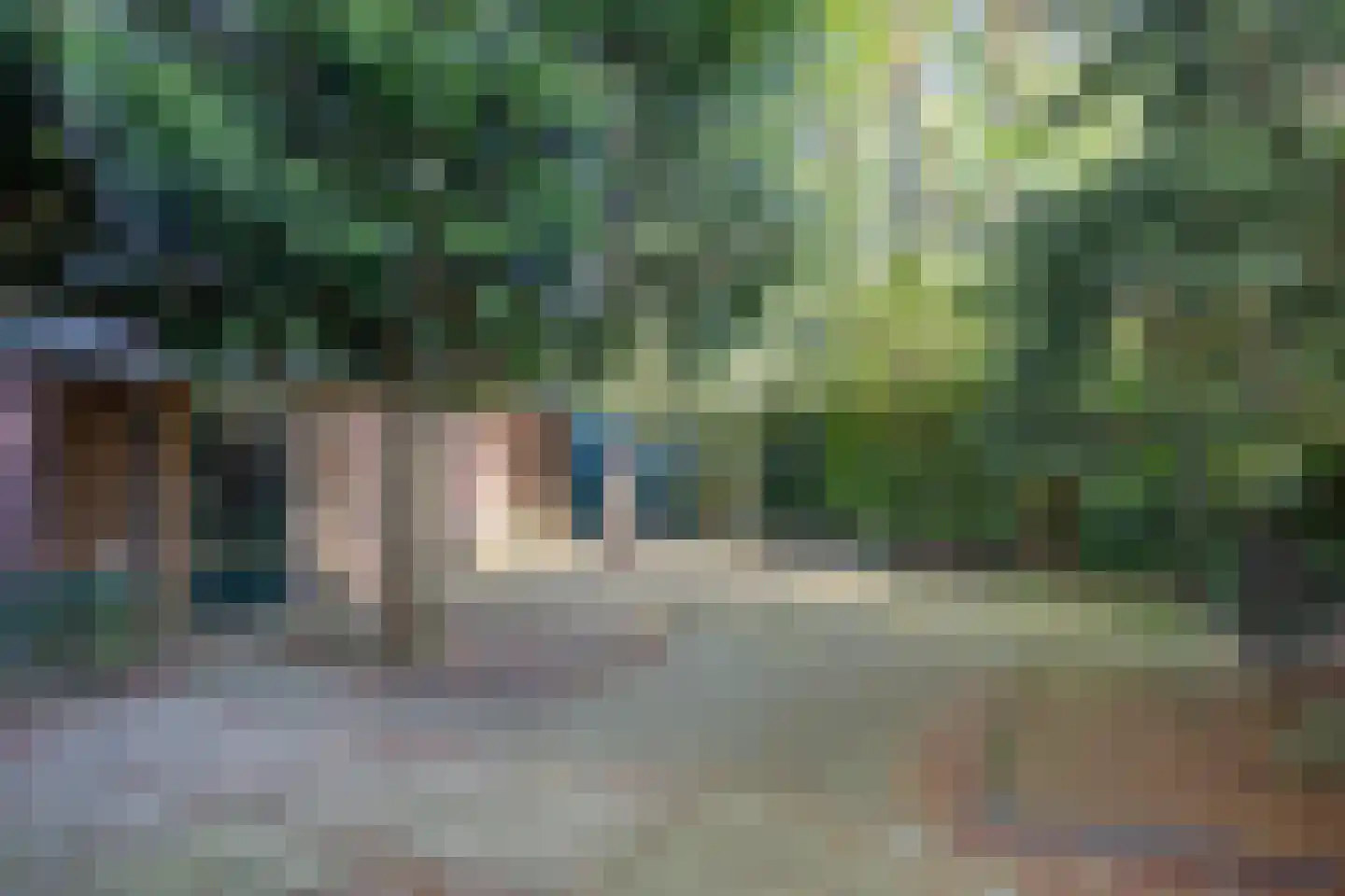 Pinksterbloemstraat 18 Rheden thumbnail 23