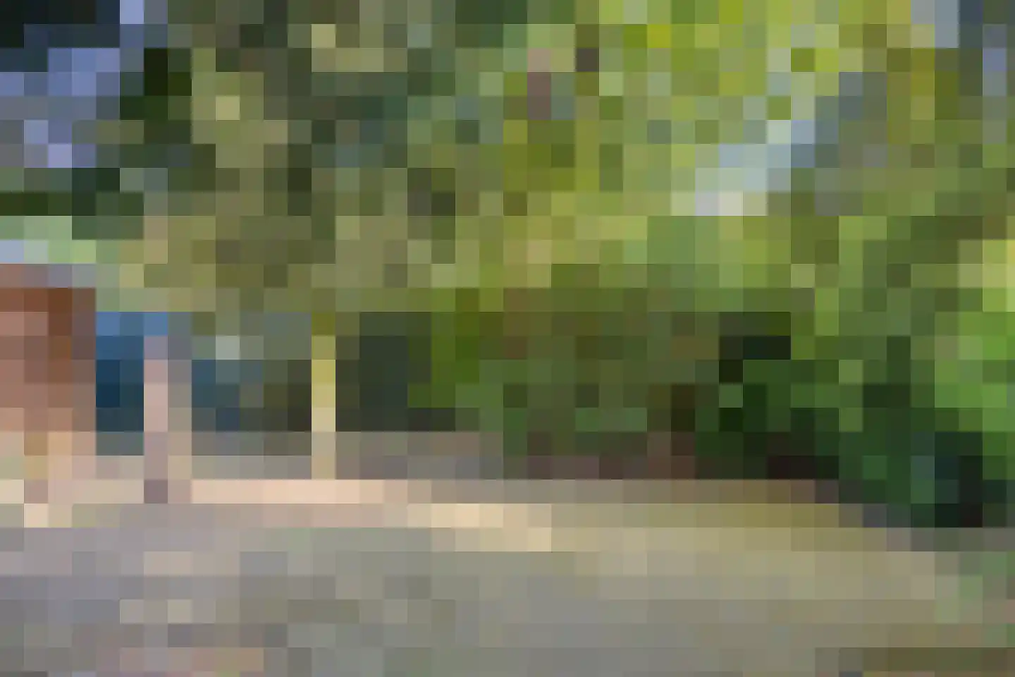 Pinksterbloemstraat 18 Rheden thumbnail 24