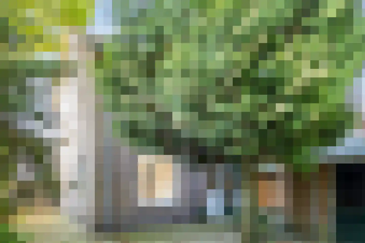 Pinksterbloemstraat 18 Rheden thumbnail 28