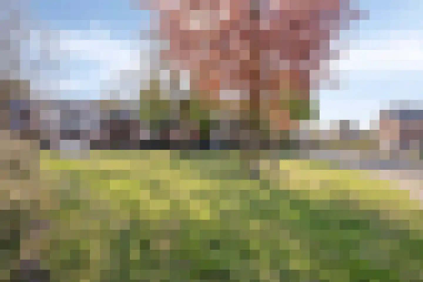 Pinksterbloemstraat 18 Rheden thumbnail 32