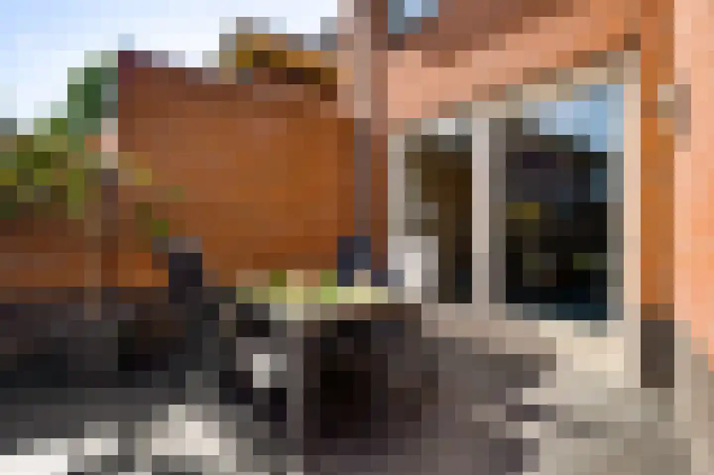 Pinksterbloemstraat 19 Weert thumbnail 38