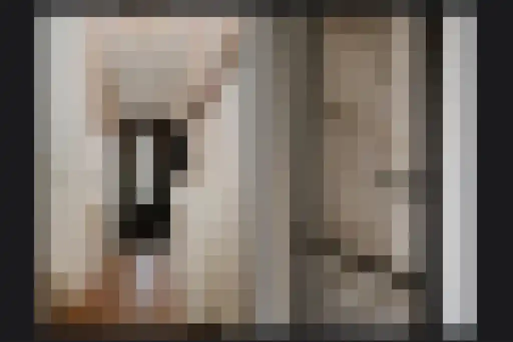Pinksterbloemstraat 21 Beneden-Leeuwen thumbnail 15