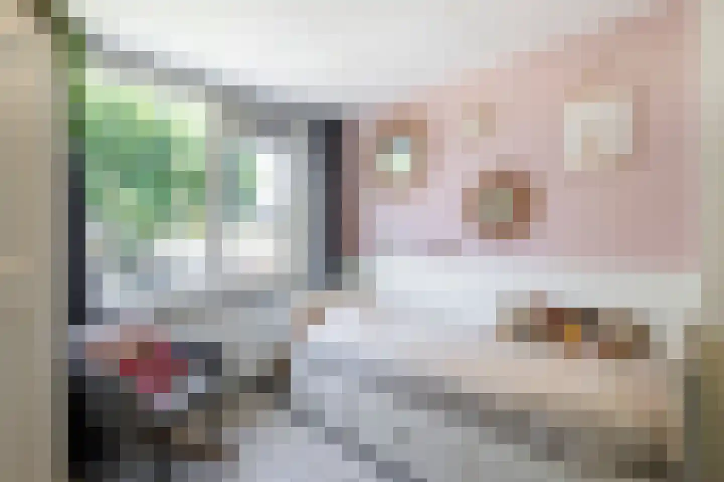 Pinksterbloemstraat 21 Hoogblokland thumbnail 16