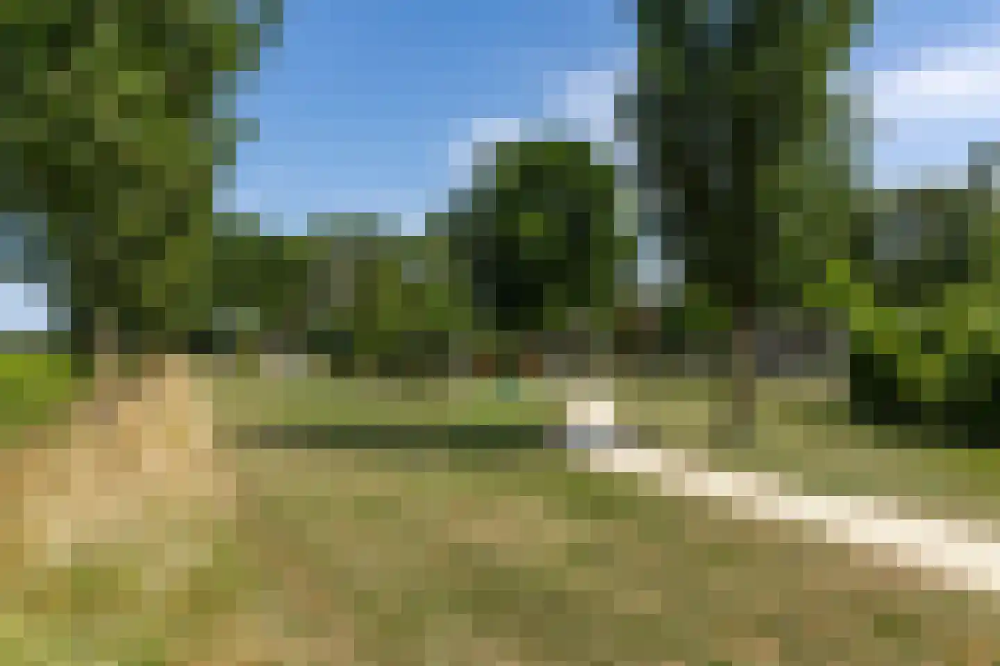 Pinksterbloemstraat 21 Hoogblokland thumbnail 30