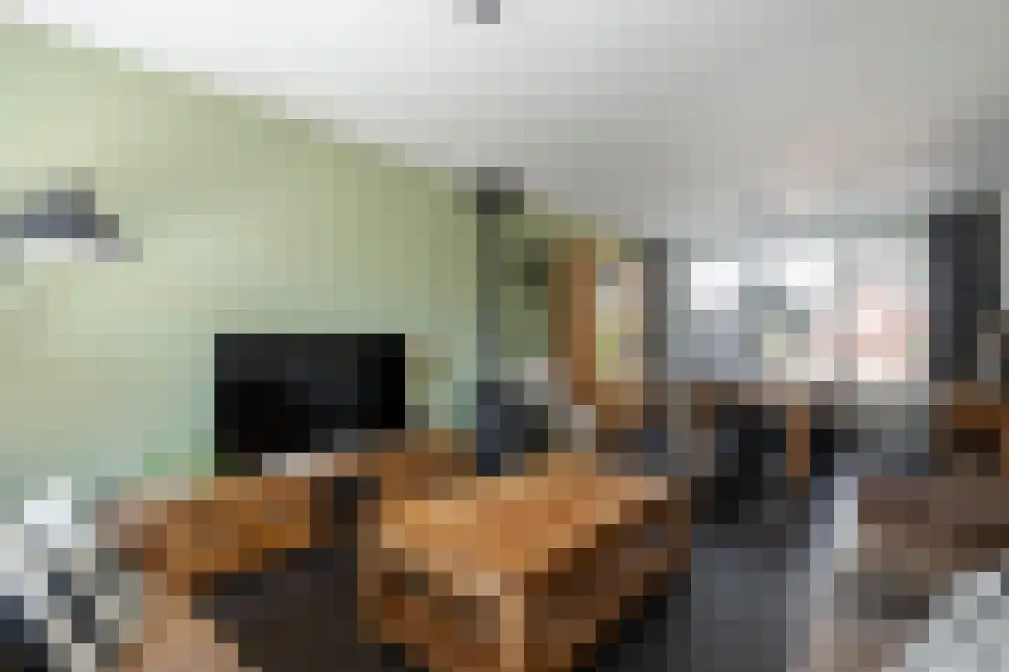Pinksterbloemstraat 21 Hoogblokland thumbnail 5