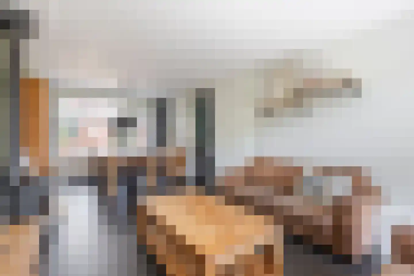 Pinksterbloemstraat 21 Hoogblokland thumbnail 7