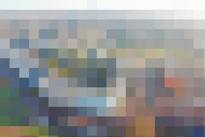 Pinksterbloemstraat 25 Goes thumbnail 26