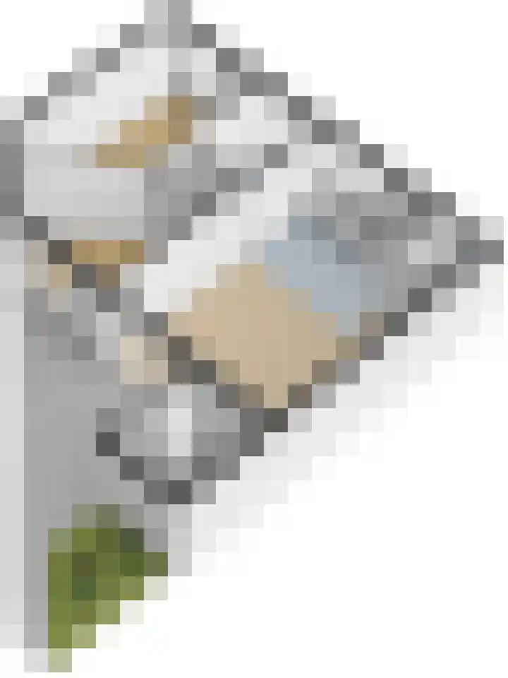 Pinksterbloemstraat 25 Goes thumbnail 35