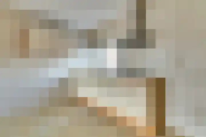 Pinksterbloemstraat 25 Goes thumbnail 8
