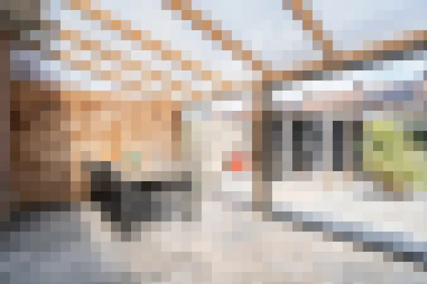 Pinksterbloemstraat 26 Geertruidenberg thumbnail 22
