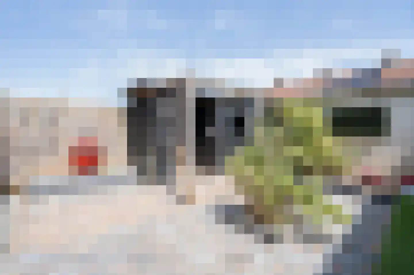 Pinksterbloemstraat 26 Geertruidenberg thumbnail 24